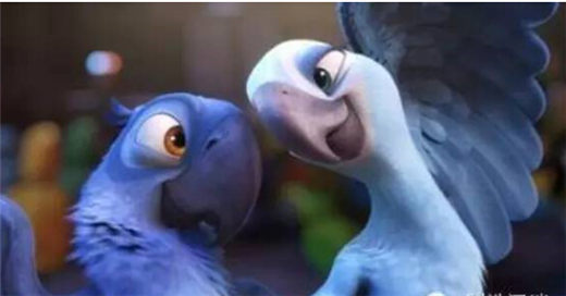 1436491271646906.jpg 1.jpg