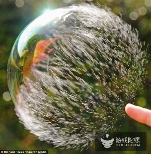 1441073016484841.jpg 11.jpg