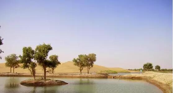 1444274307857826.jpg 11.jpg