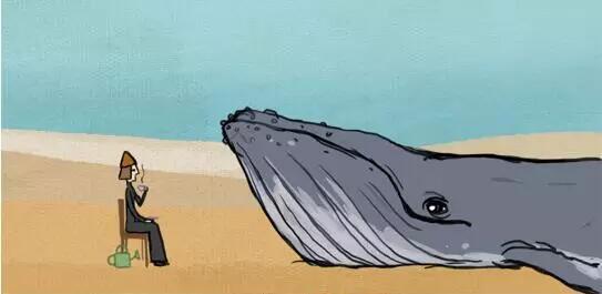 1444274335804465.jpg 1.jpg