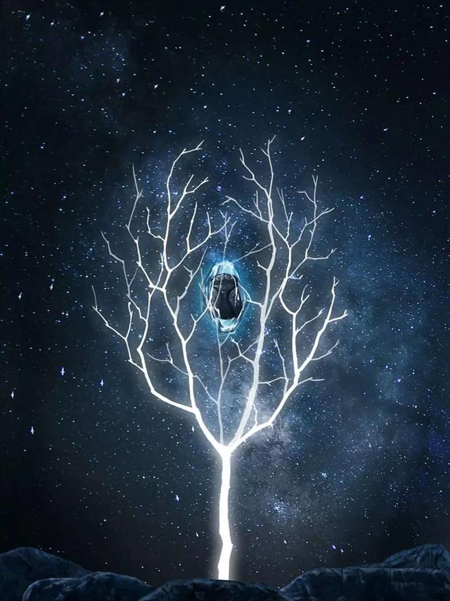 1444445035542366.jpg 11.jpg