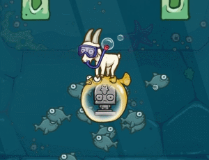 11.png