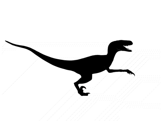 11.gif