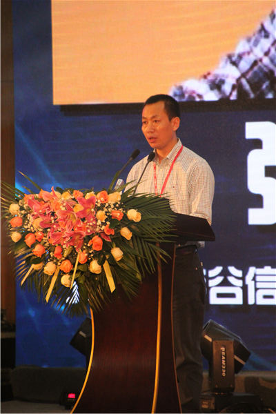 p2.jpg