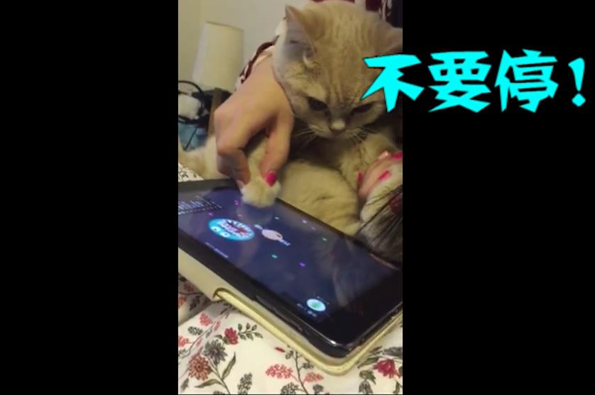 图2.jpg