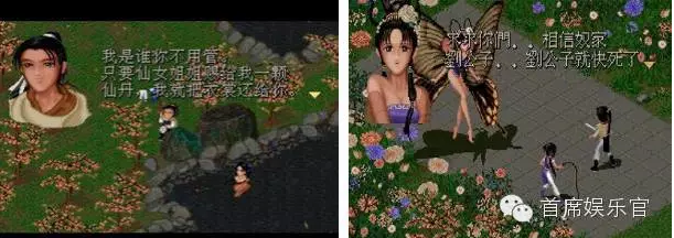 11.png