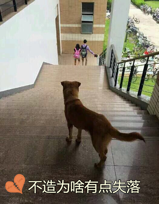 图10.jpg