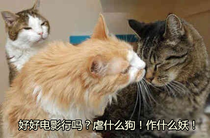 图4.jpg