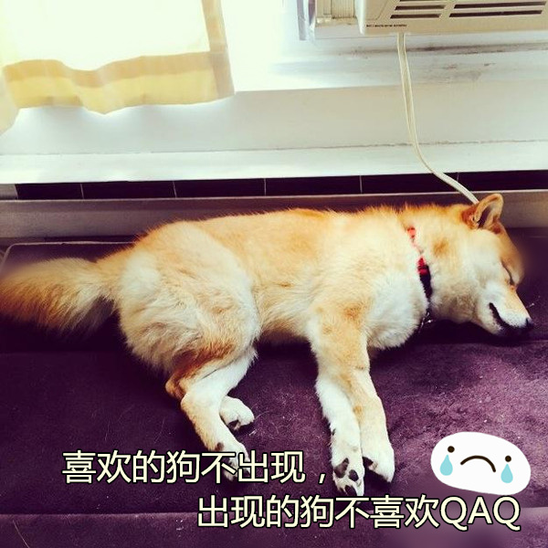 图1.jpg