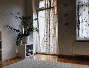 11.gif