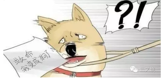 1111.png