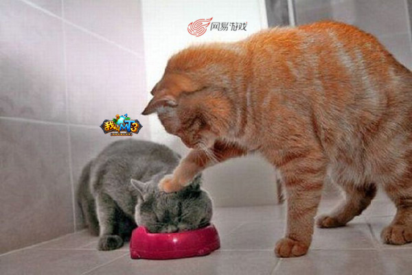 1.jpg