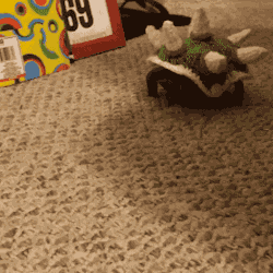 11.gif