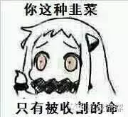 11.png