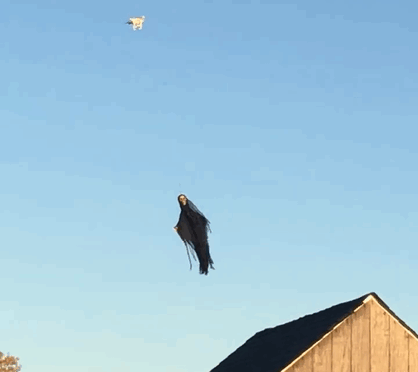 11.gif