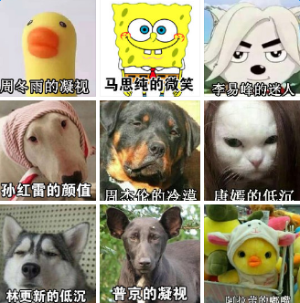 11.png
