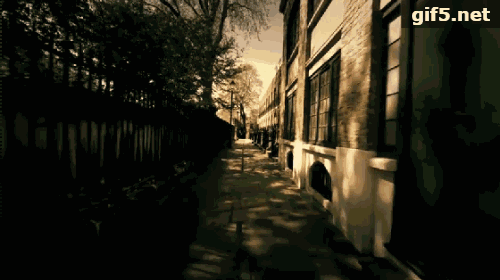 11.gif