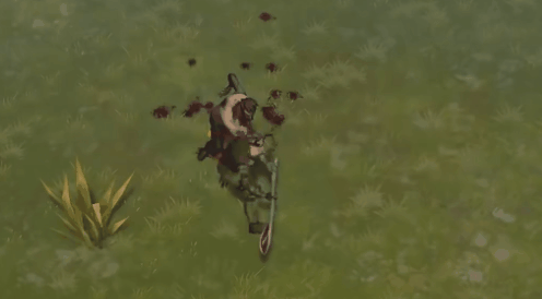 11.gif