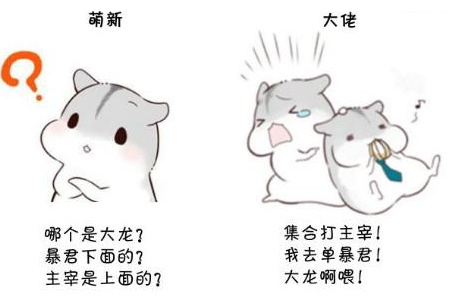 图片3.png