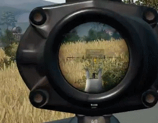 图片1.gif