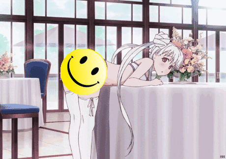 11.gif