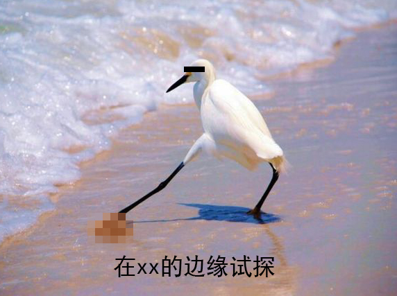 11.jpeg