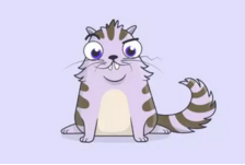 11.png