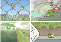 11.png