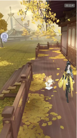 11.png