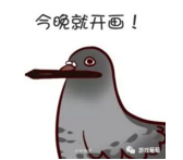 11.png