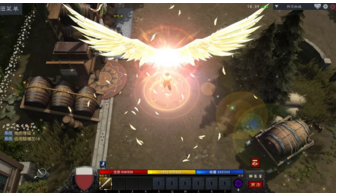11.png