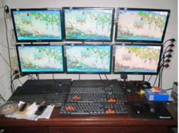 11.png