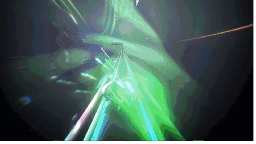 11.png