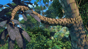 11.gif