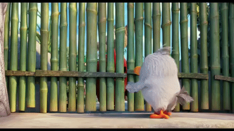11.gif