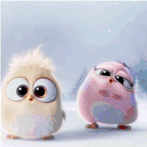 11.gif