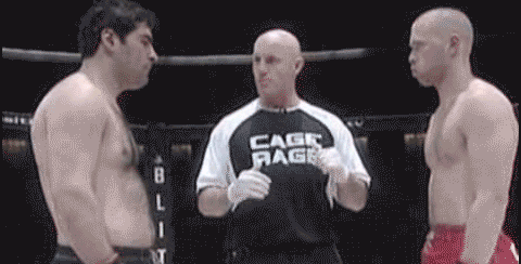 11.gif