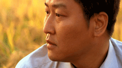 29.gif