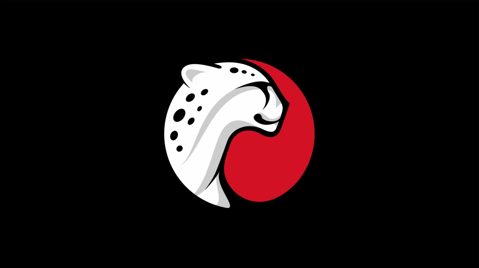53.png