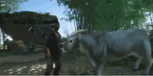 明明是严肃的骑射游戏，结果这些玩家把《对马岛之魂》玩坏了！562.png