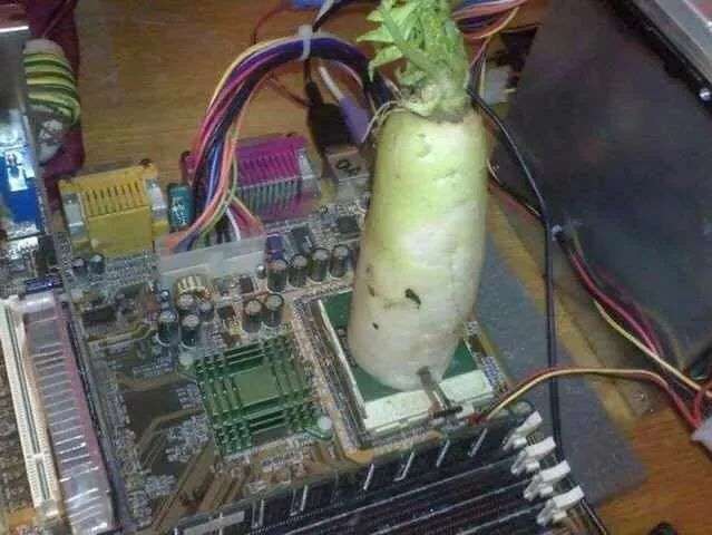 32.jpg