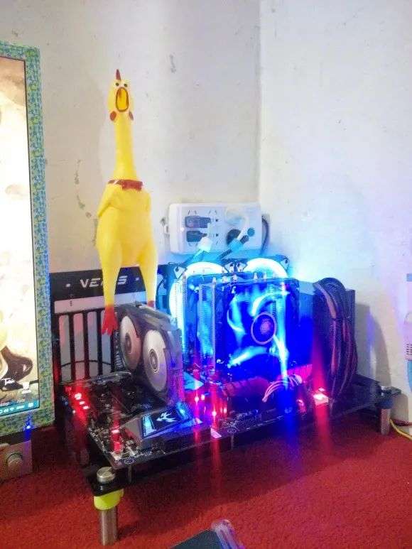 53.jpg
