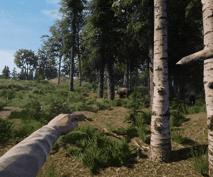7.gif