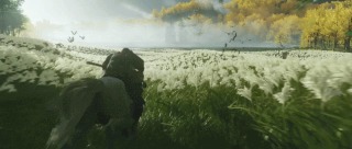 10.gif