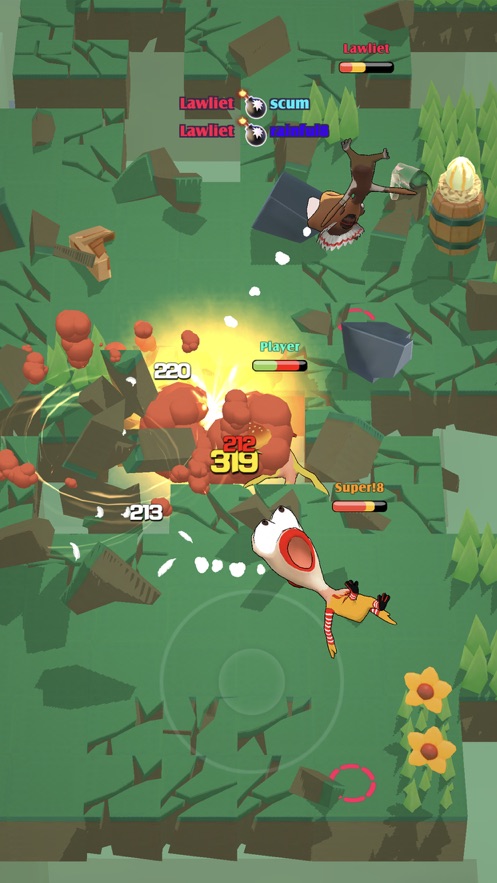 5.jpg