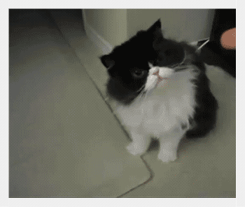 3.gif