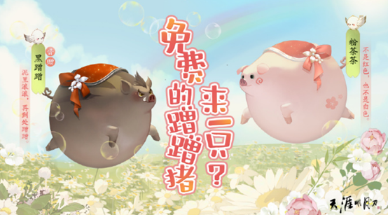 image017.png